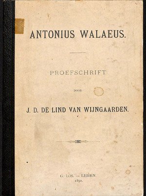 Antonius Walaeus